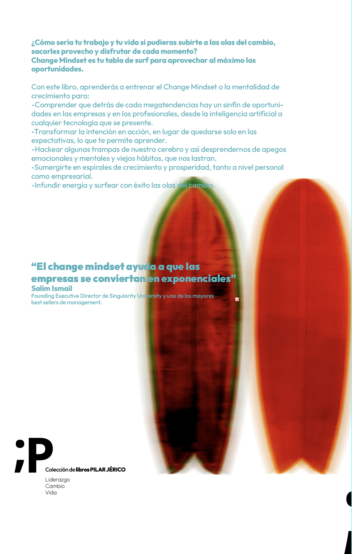 libro contraportada change mindset pjerico